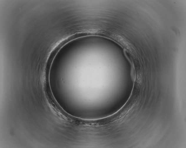 X0000111840532200907301052