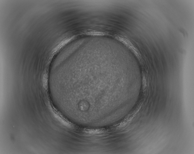 X0000111840533200907301052