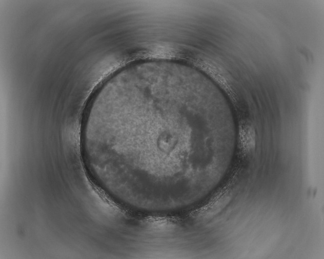 X0000111840534200907301052