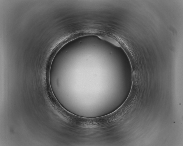 X0000111840535200907301052