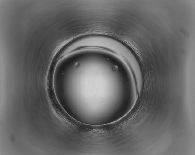 X0000111840536200907301052