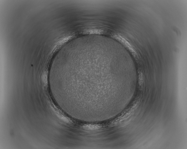 X0000111840537200907301052