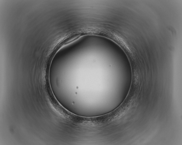 X0000111840538200907301052