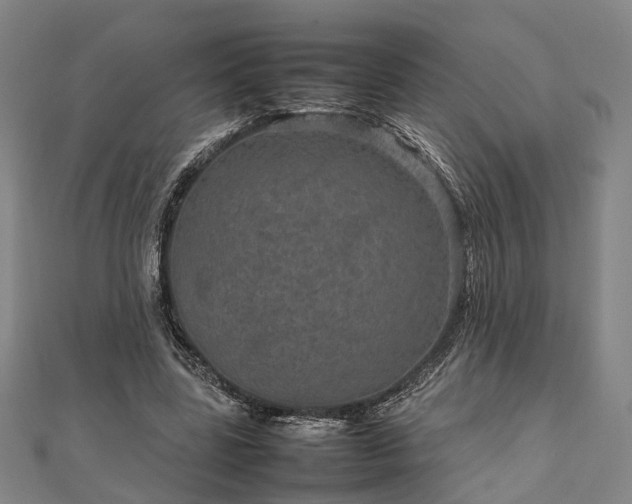 X0000111840539200907301052