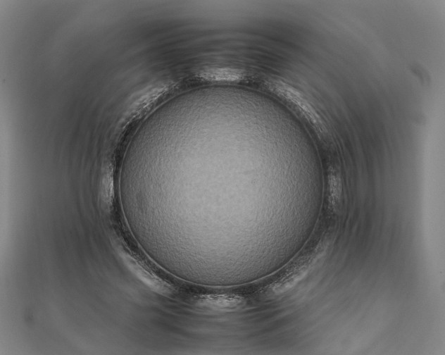 X0000111840541200907301052