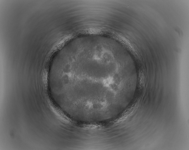 X0000111840542200907301052