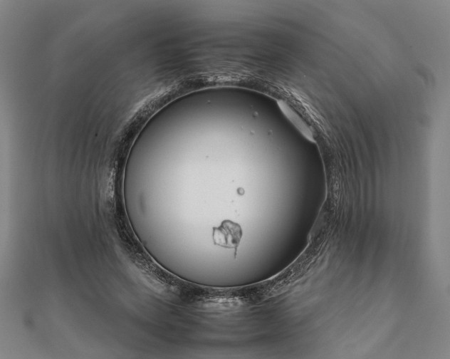 X0000111840543200907301052