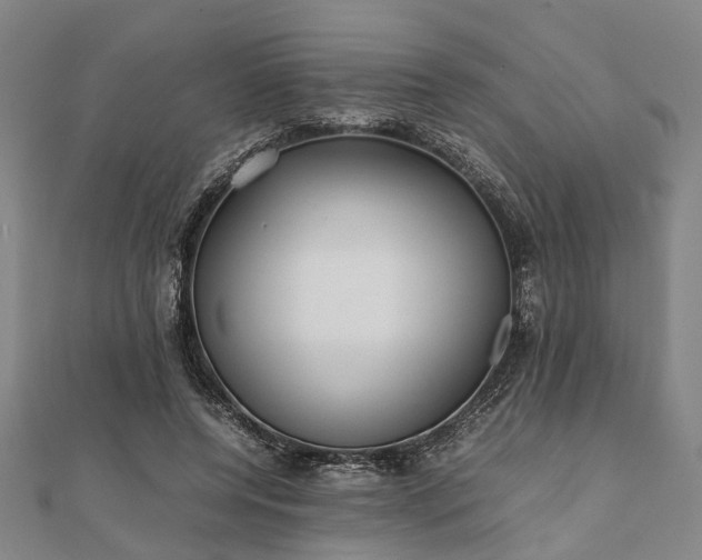 X0000111840544200907301052