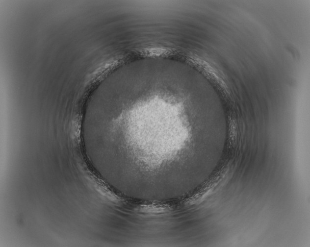 X0000111840545200907301052