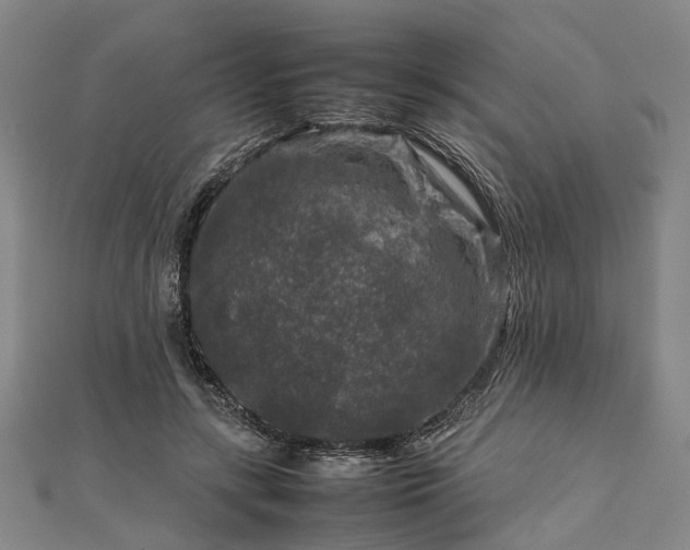 X0000111840547200907301052