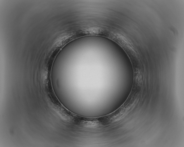 X0000111840548200907301052