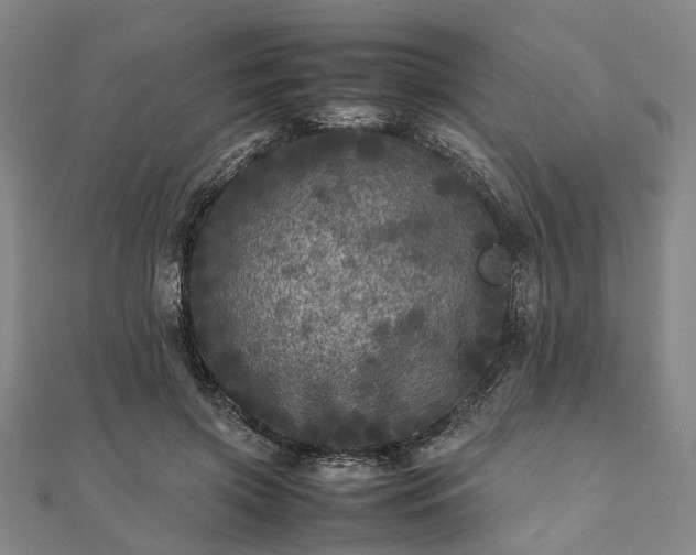 X0000111840549200907301052