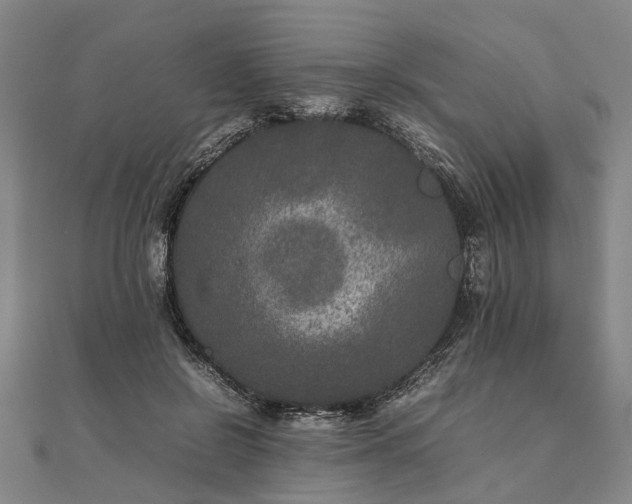 X0000111840550200907301052