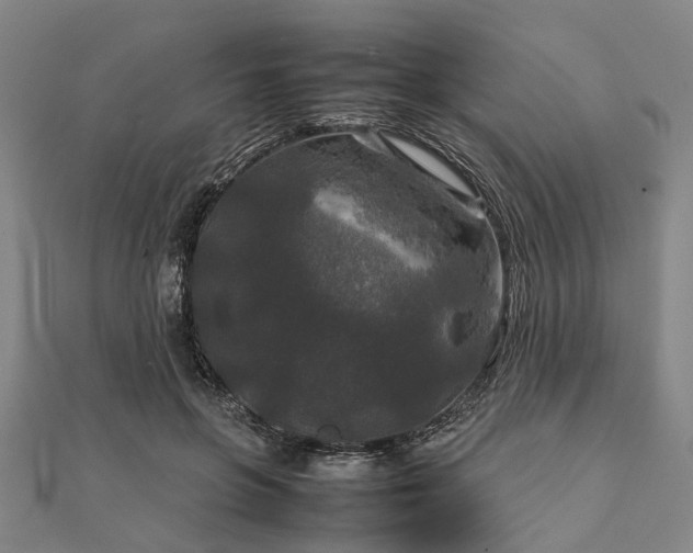 X0000111840551200907301052