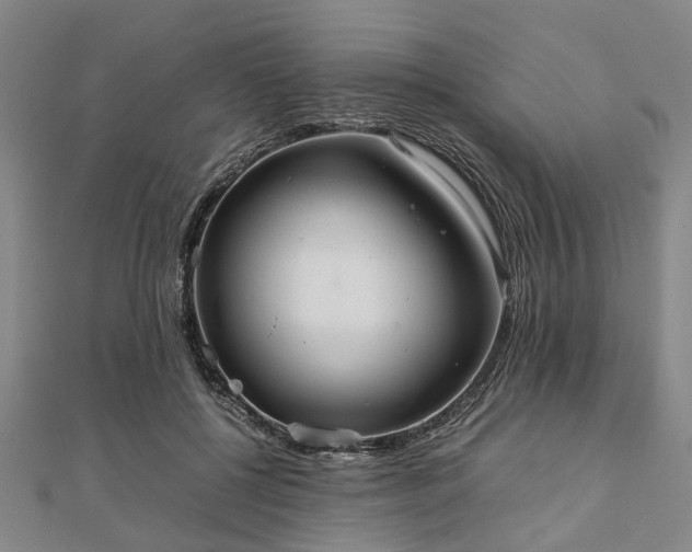 X0000111840552200907301052