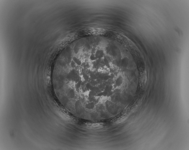 X0000111840553200907301052