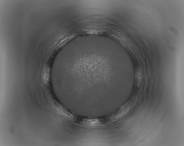 X0000111840554200907301052