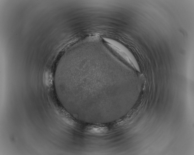 X0000111840555200907301052