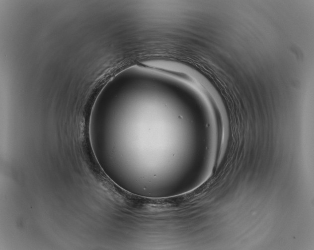 X0000111840556200907301052