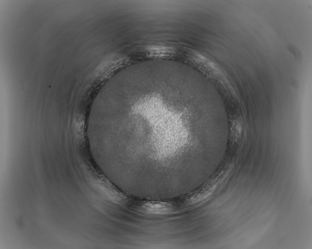 X0000111840557200907301052