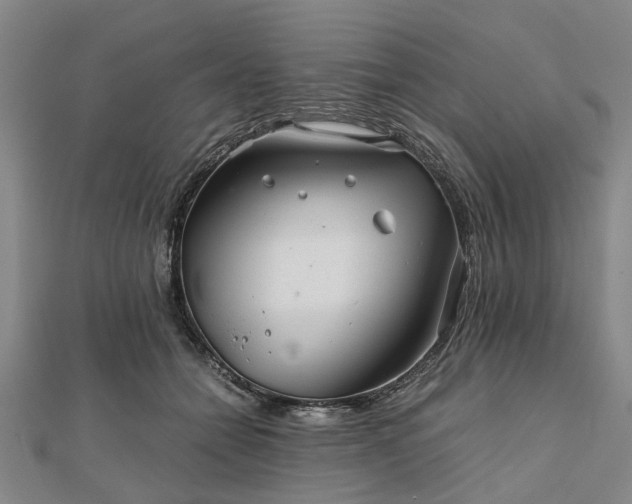 X0000111840558200907301052