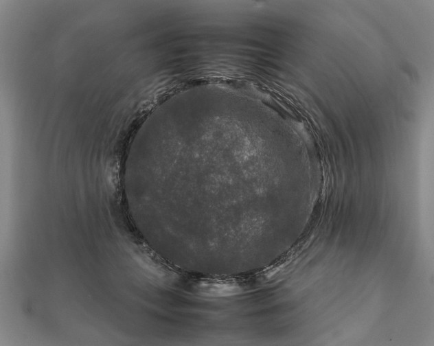 X0000111840559200907301052