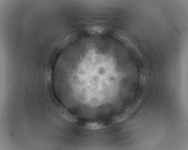 X0000111840561200907301052