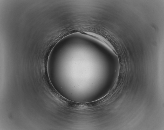 X0000111840562200907301052