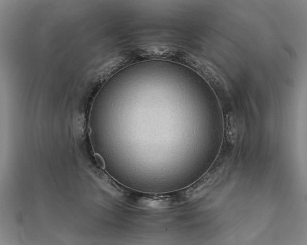 X0000111840563200907301052