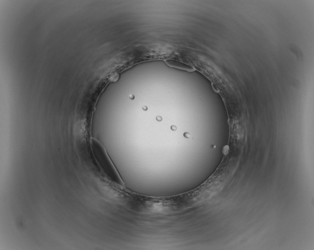 X0000111840564200907301052