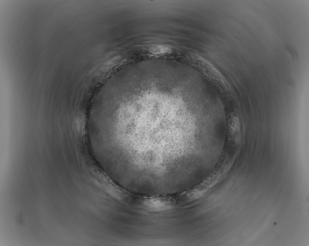 X0000111840565200907301052