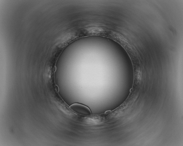 X0000111840567200907301052