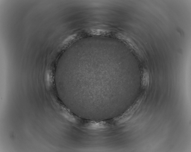 X0000111840569200907301052