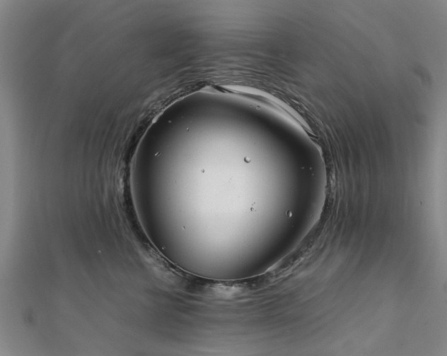 X0000111840570200907301053