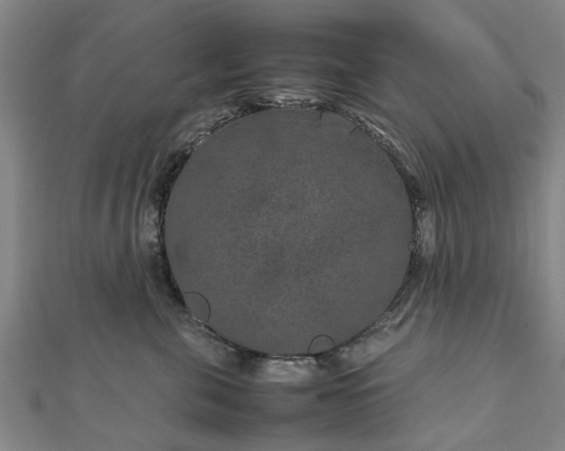 X0000111840571200907301053