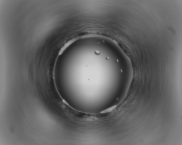 X0000111840572200907301053