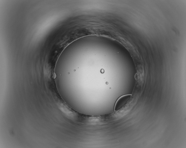 X0000111840574200907301053