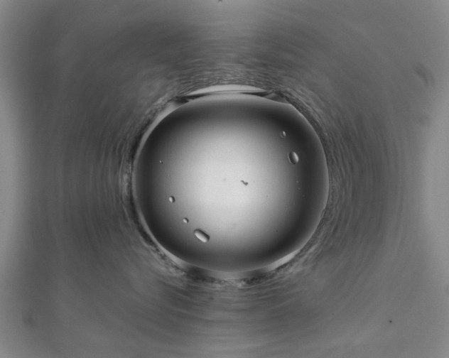 X0000111840576200907301053