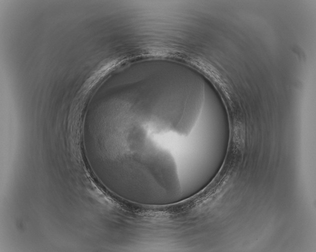 X0000111840577200907301052