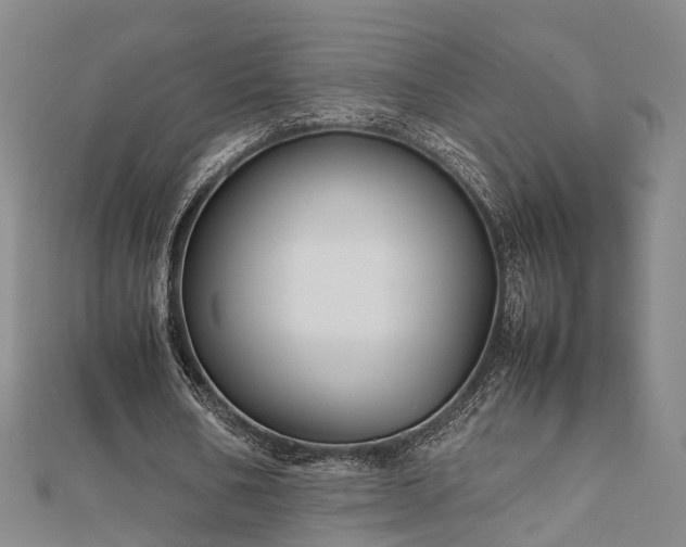 X0000111840578200907301052