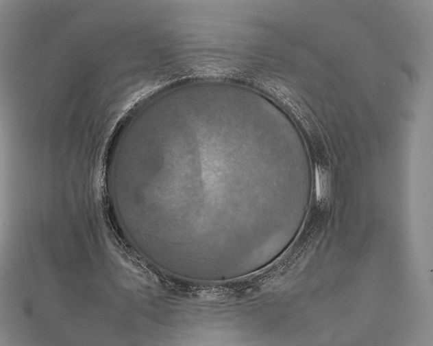 X0000111840579200907301052