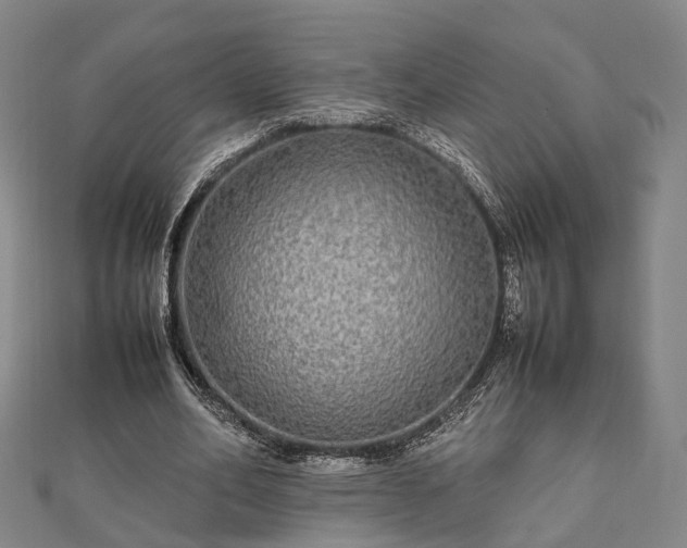 X0000111840582200907301052