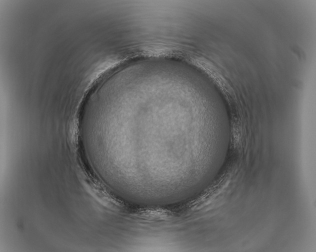 X0000111840583200907301052