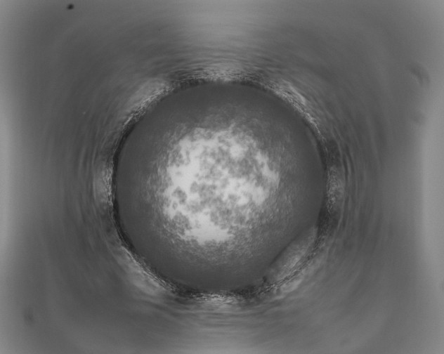 X0000111840585200907301052