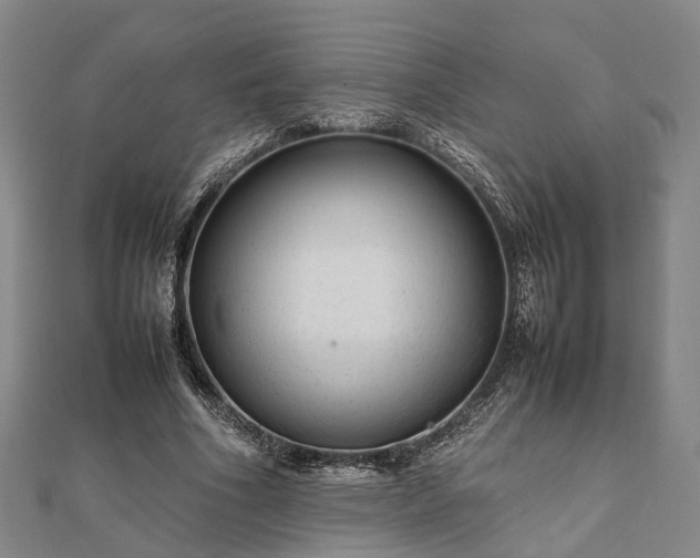 X0000111840586200907301052