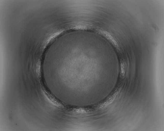 X0000111840588200907301052