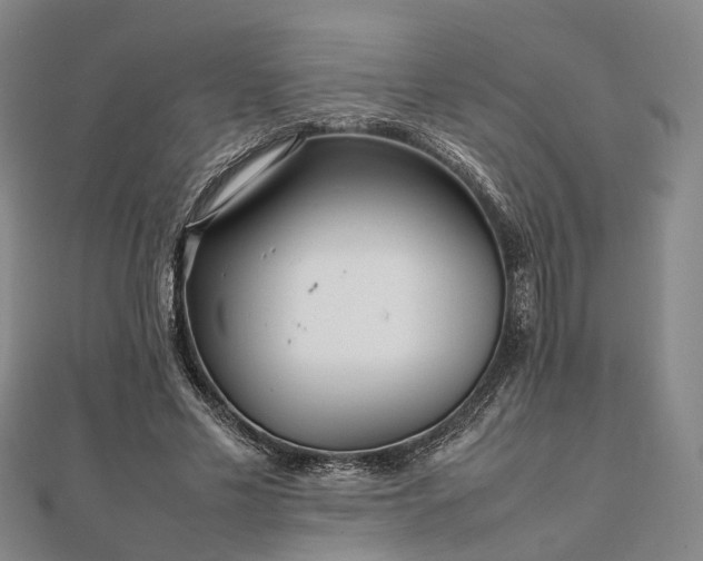 X0000111840589200907301052