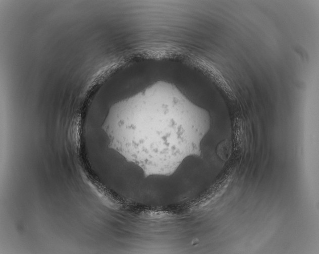 X0000111840590200907301052