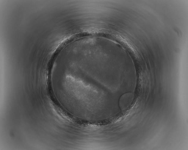 X0000111840592200907301052