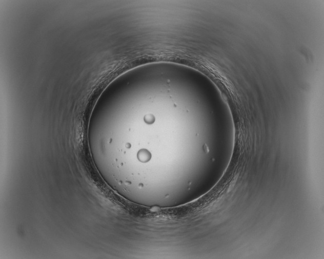 X0000111840593200907301052